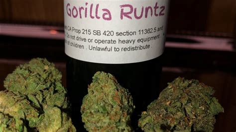 Gorilla runtz - 67 votes, 25 comments. 369K subscribers in the microgrowery community. Dedicated to the cultivation of cannabis. We love pictures of your plants &…